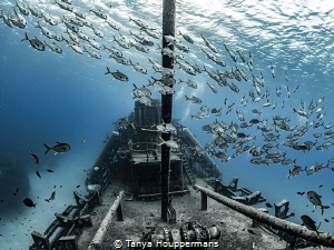 'Swirling the Bow' - A school of horse eye jacks swirls a... by Tanya Houppermans 